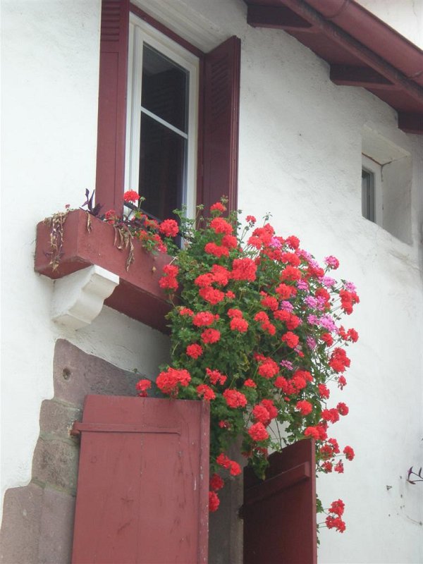 Original image